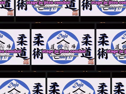 stage ju jitsu 1er partie Bertrand Amoussou