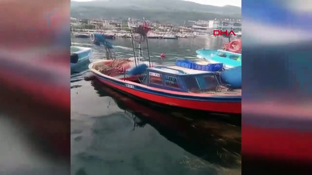 Un requin de 4 mètres défie les pêcheurs de Gemlik