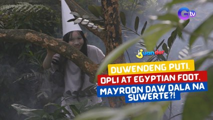 Duwendeng puti, opli at egyptian foot may dalang suwerte?! | I Juander