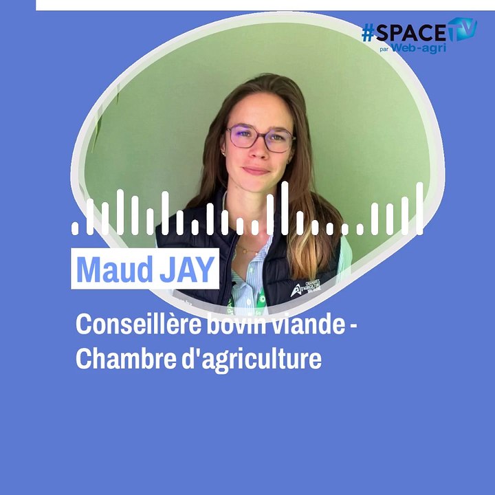 Valoveau, une option pour écouler les veaux laitiers