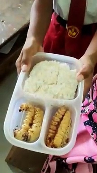Apalah daya..., aku cuma bisa bawa bekal ini ke sekolah