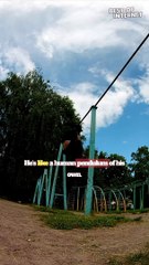 Floor is Lava Challenge: Real-Life Kakashi Moves! || Best of Internet