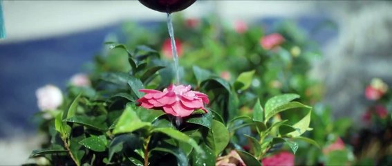 Tـiـgـeـr aـnـd Cـrـaـnـe Ep 12 eng sub