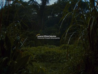 Dreaming & Dying - Trailer