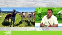 Place aux paysans : Transmission du savoir-faire agricole
