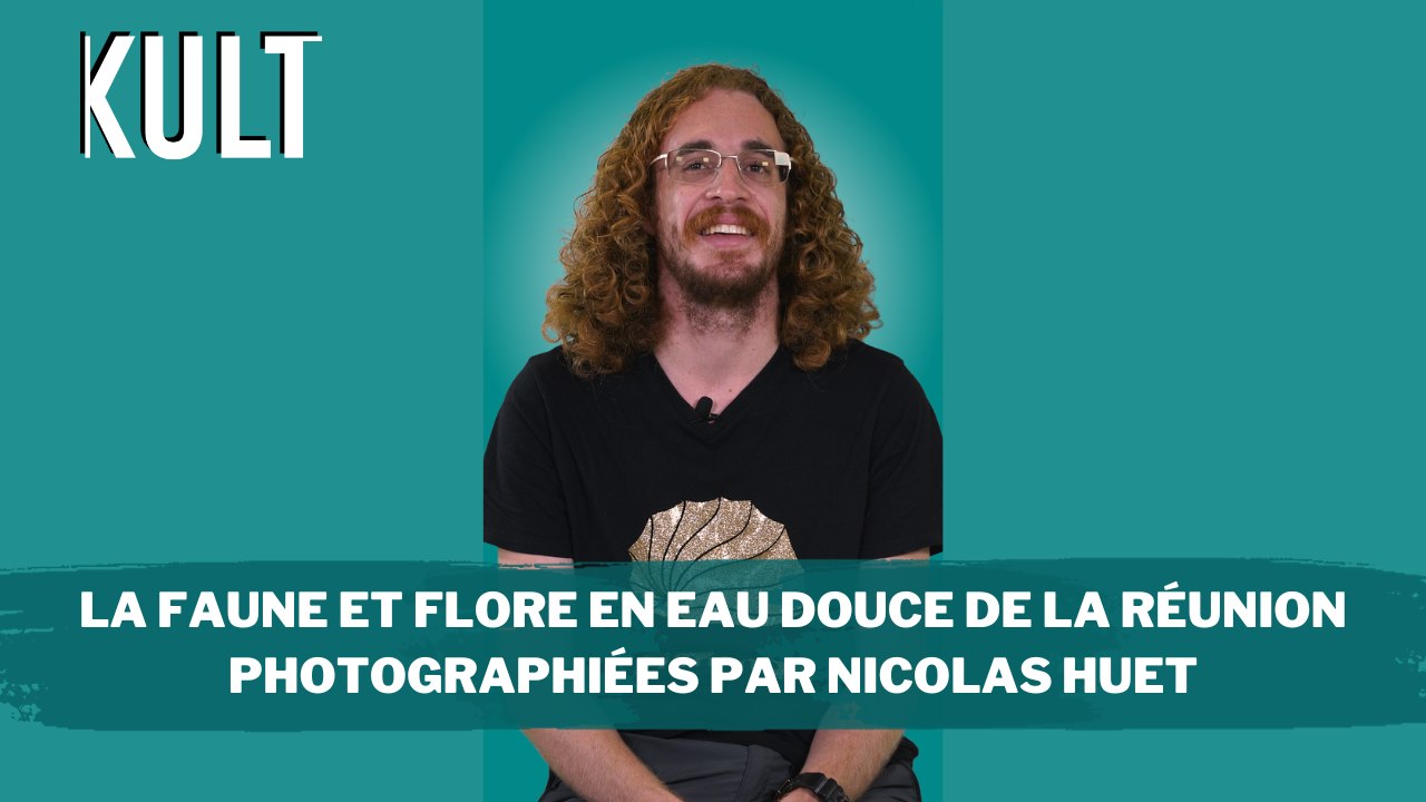 La faune et flore en eau douce de La Réunion photographiées par Nicolas Huet
