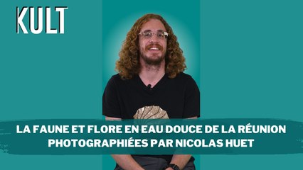 La faune et flore en eau douce de La Réunion photographiées par Nicolas Huet