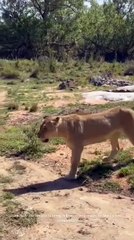 Nkhulu stalking sister pt1