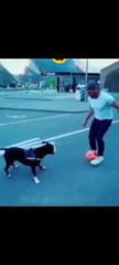 Ramos, Maldini ve Nesta halt etmiş! Yok böyle defans oyuncusu