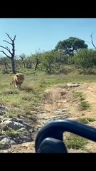 Nkhulu stalking sister pt2