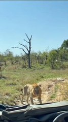 Nkhulu stalking sister pt3