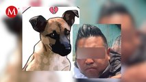 Sentencian a 5 años de prisión a hombre que arrojó a perrito 'Scooby' a cazo con aceite hirviendo