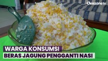 Terus Meroket, Warga Konsumsi Beras Jagung Pengganti Nasi di Jombang