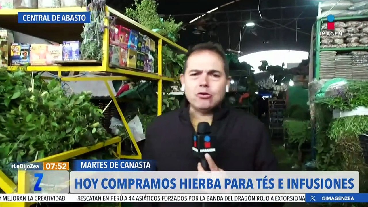 Marchas programadas para este 10 de octubre de...