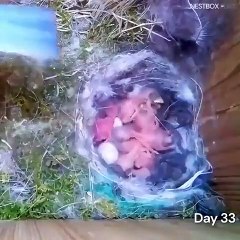 İnsanın içini ısıtan görüntüler