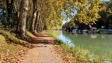 Google Pixel 8 Pro : video 4K à 60 FPS