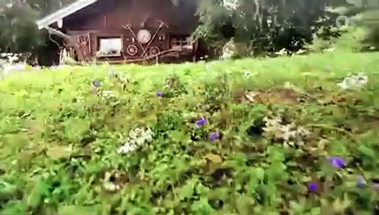 Sturm der liebe folge 4121 diagnosen