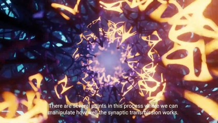 - Understanding Synaptic Transmission_ How Neurons Communicate