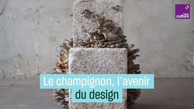 Ces designeuses font pousser des chaises... en champignons