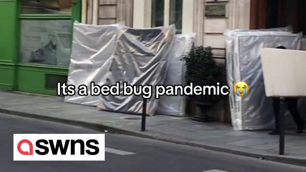 Paris streets littered with discarded mattresses due to bedbug epidemic