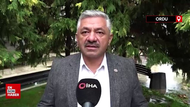 Karadeniz'de tarımın yeni belası: Kahverengi kokarca böceği