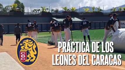 Así es un día en la pretemporada de Leones del Caracas