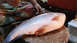 Satisfying Rohu Fish Cutting Skills। Egg Collection Skills