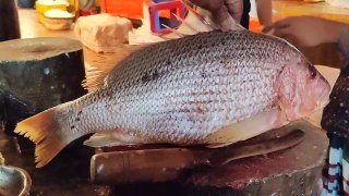 Big Red Snapper Fish Cutting By Expert Fish Cutter _ Amazing Fish Cutting
