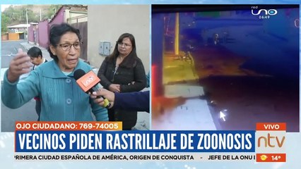 "¡Nos ataca!": Perro presuntamente abandonado causa temor entre los vecinos