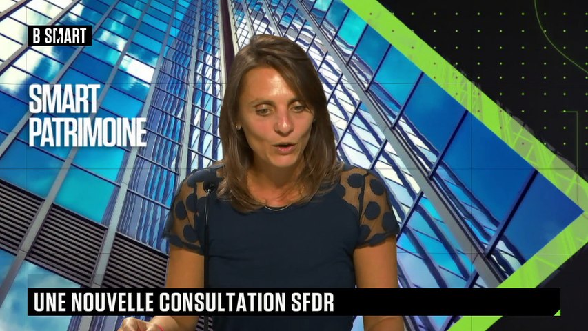 Une nouvelle consultation SFDR