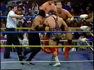 Steiners & Animal vs Doom & Skyscrapers Worldwide Jan 20th, 1990