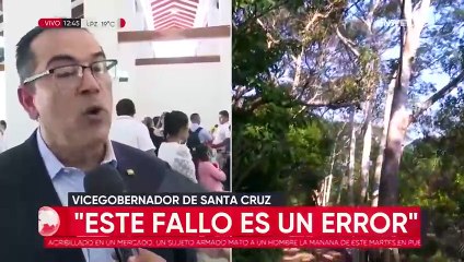 Vicegobernador dice que sentencia constitucional “atenta contra la estabilidad medioambiental” de Santa Cruz