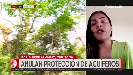 Diputada Álvarez lamenta que el TCP haya emitido sentencia constitucional
