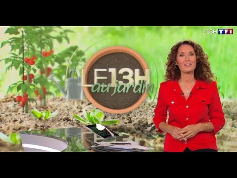 JT 13H : un remplacement inévitable pour Marie-Sophie Lacarrau, TF1 alertée