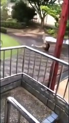 Voici le toboggan le plus dangereux du monde