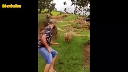 Can You Keep a Straight Face? Watch This Challenge! 😐