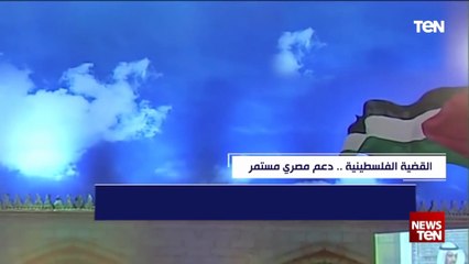 القضية الفلسطينية.. دعم مصري مستمر