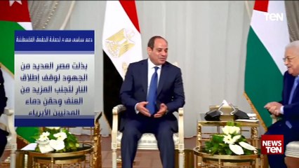 دعم سياسي مصري لحماية الحقوق الفلسطينية