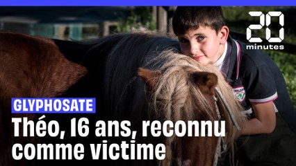 Glyphosate : Théo, 16 ans, reconnu comme victime du pesticide
