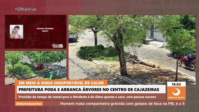 Em meio à onda insuportável de calor, prefeitura poda e arranca árvores no centro de Cajazeiras