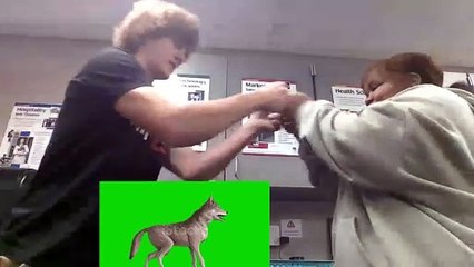 Sigma and Sigma Chabrella (Ft. Chabrella)