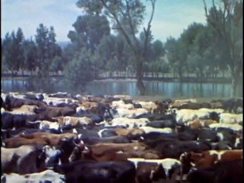 Custer - E03: Glory Rider