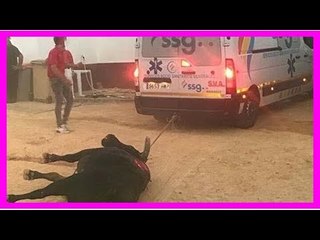 Escándalo en el ruedo: la ambulancia que entró para arrastrar al toro muerto en Valdepeñas
