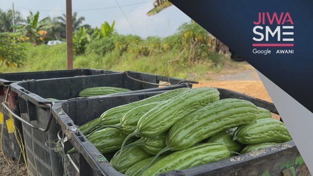 Jiwa SME: Teknologi moden tarik minat anak muda cebur bidang pertanian