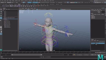 Rigging Demo Reel - YZE