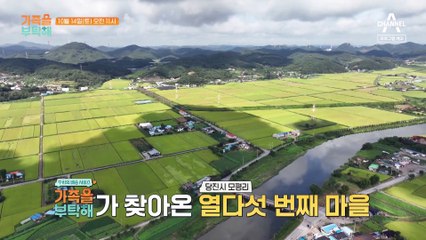 변비와 체질의 연관성! 다리 건강에 미치는 영향은? 🚶‍♂️