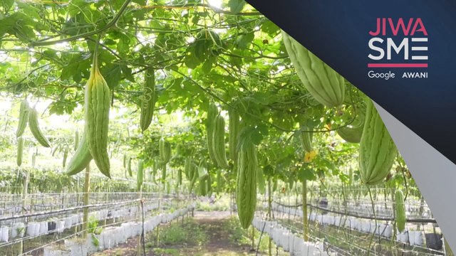 Jiwa SME: Teknologi moden tarik minat anak muda cebur bidang pertanian