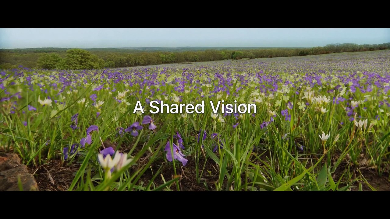 Killers of the Flower Moon Movie - A Shared Vision