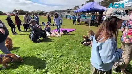 Wellways Mental Health Week dog walk | October 11, 2023 | The Advocate