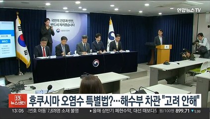 후쿠시마 오염수 특별법?…해수부 차관 "고려 안해"